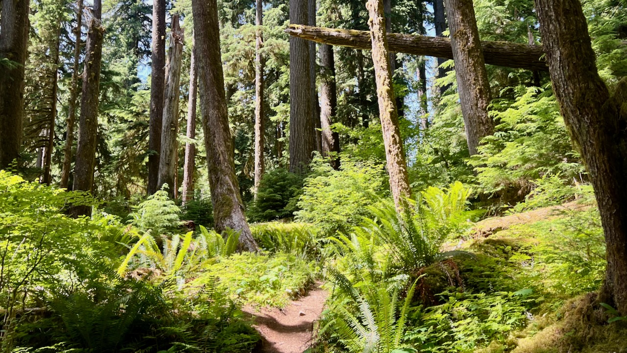 Trail View