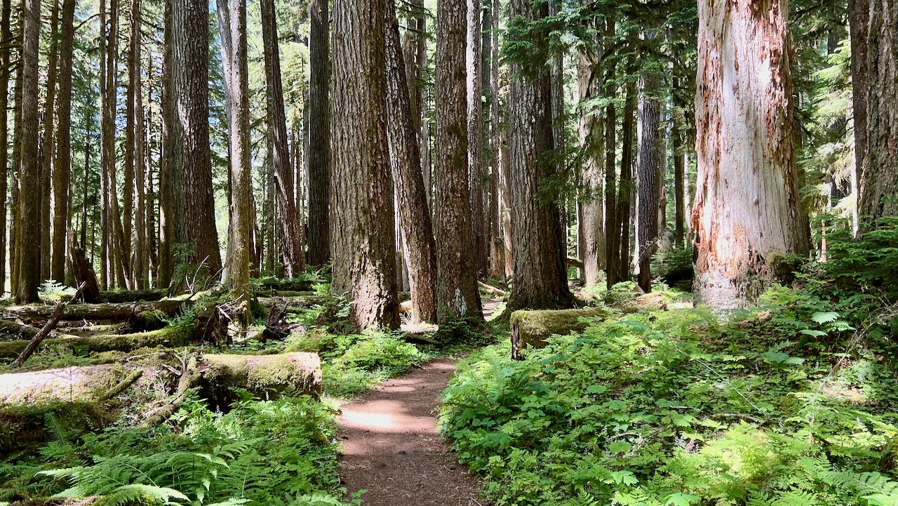 Trail View