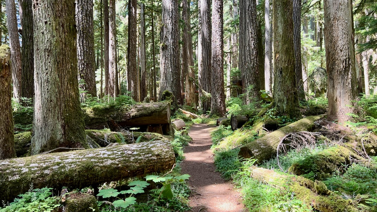 Trail View