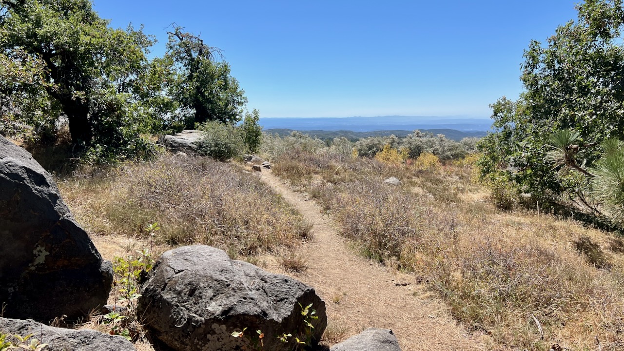 Trail View