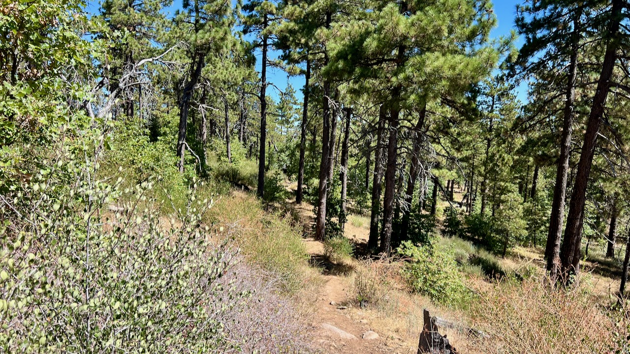 Trail View