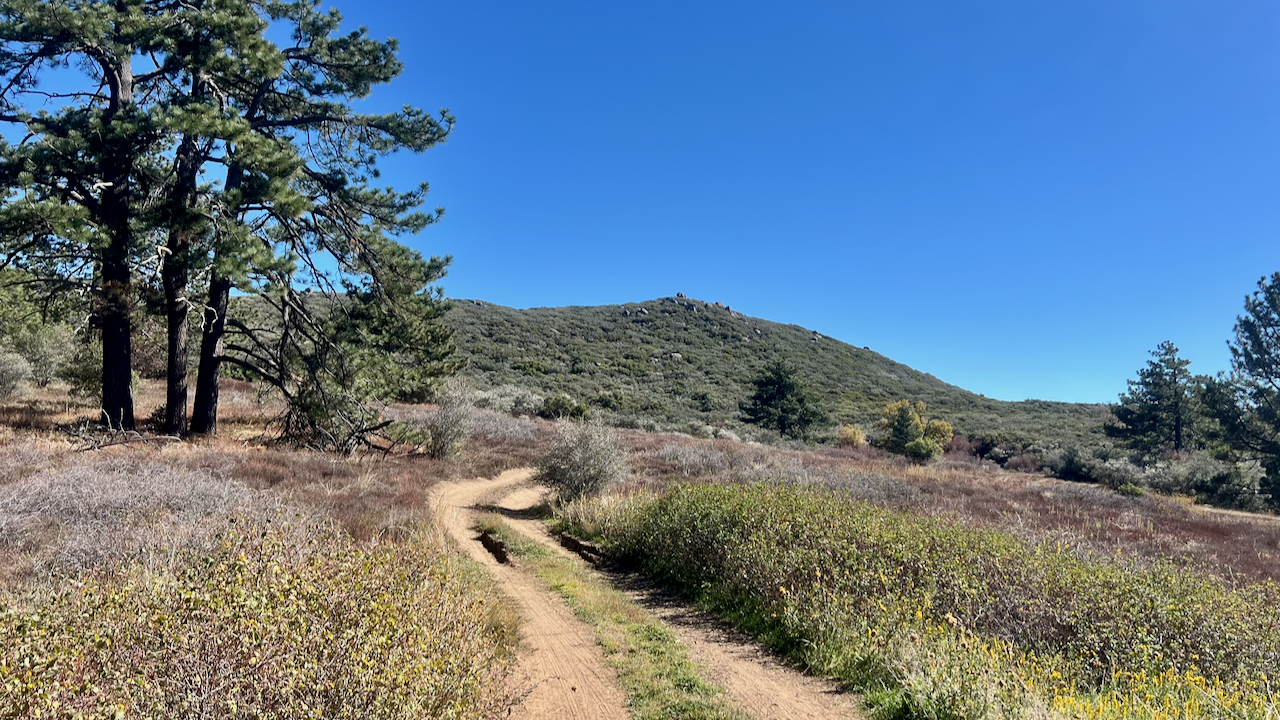 Trail View