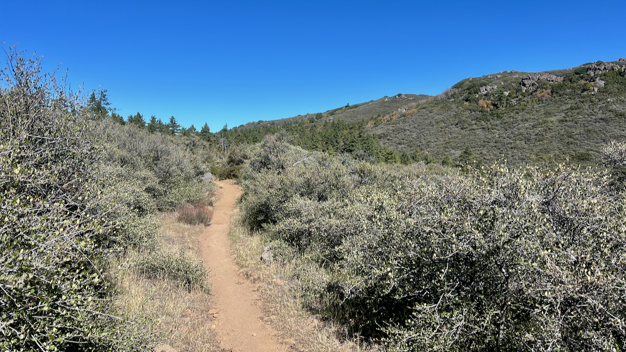 Trail View