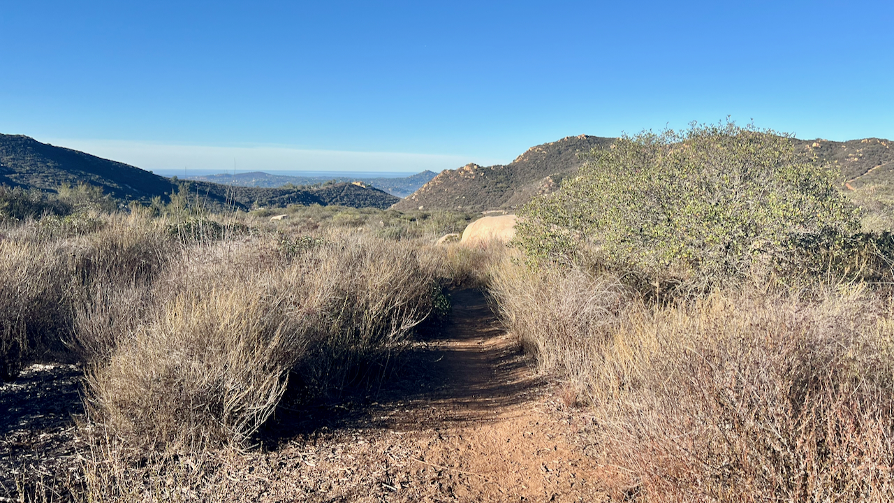 Trail View