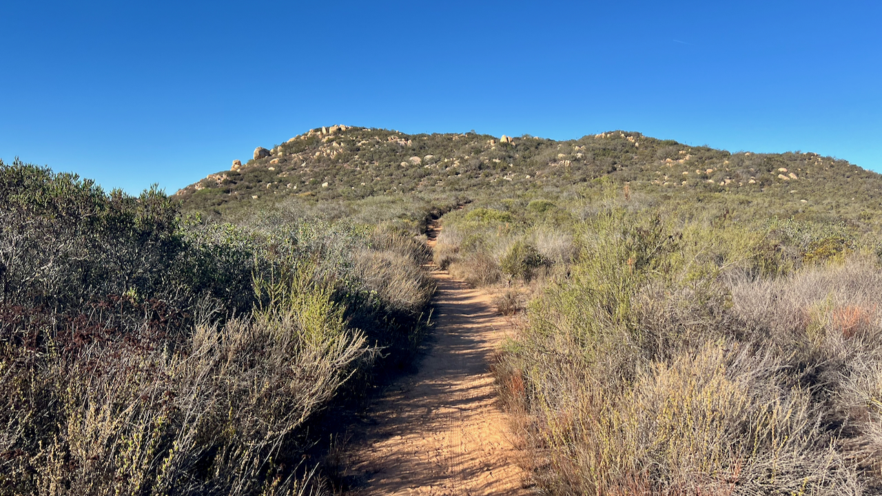 Trail View