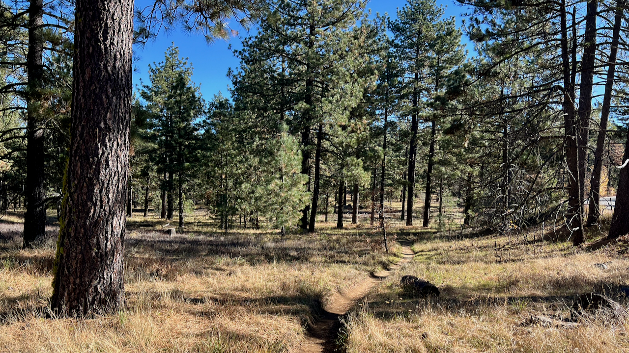 Trail View