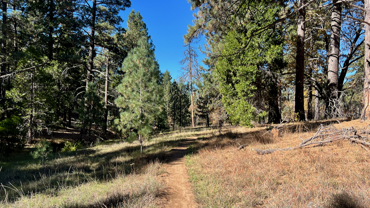 Trail View