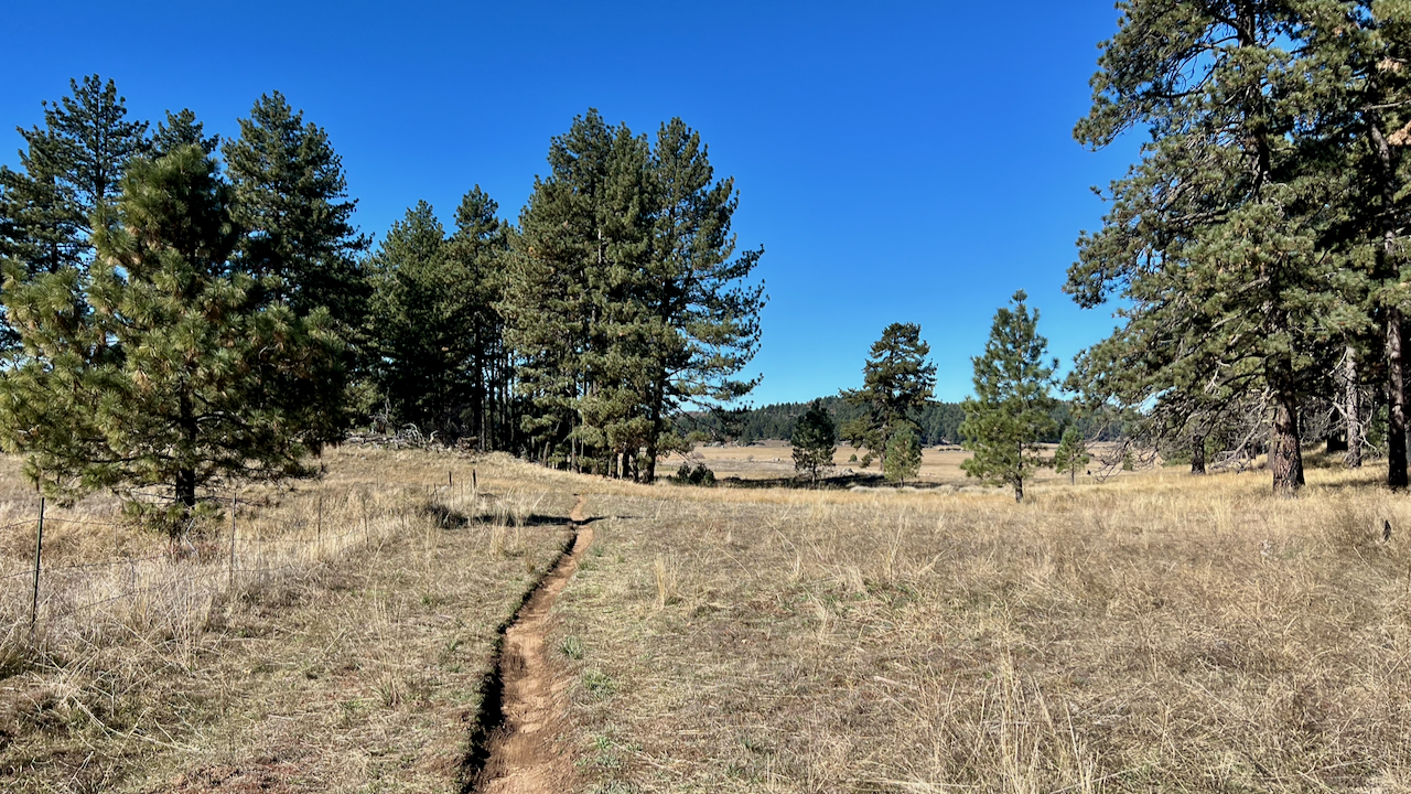 Trail View