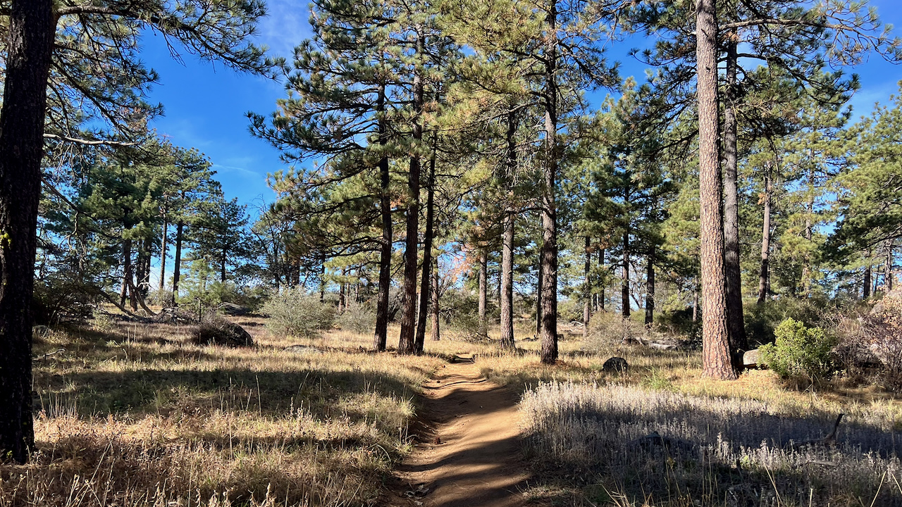 Trail View