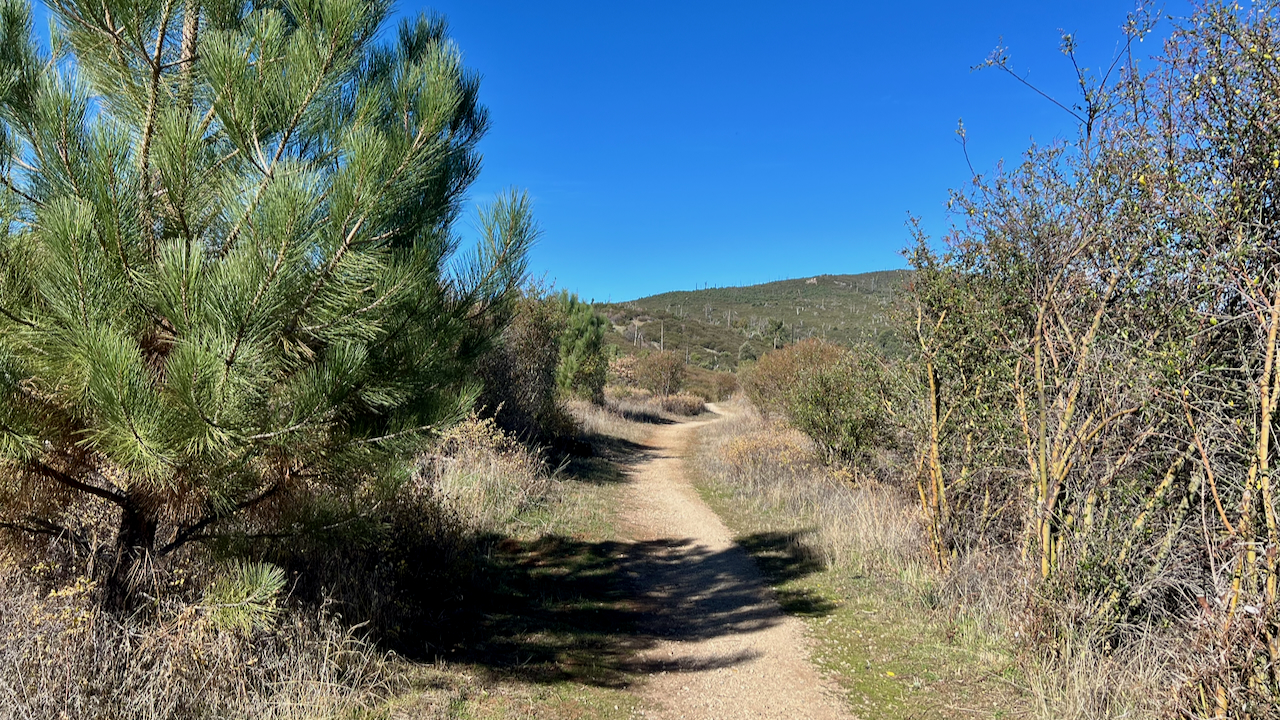 Trail View