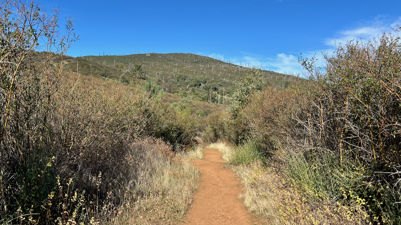 Trail View