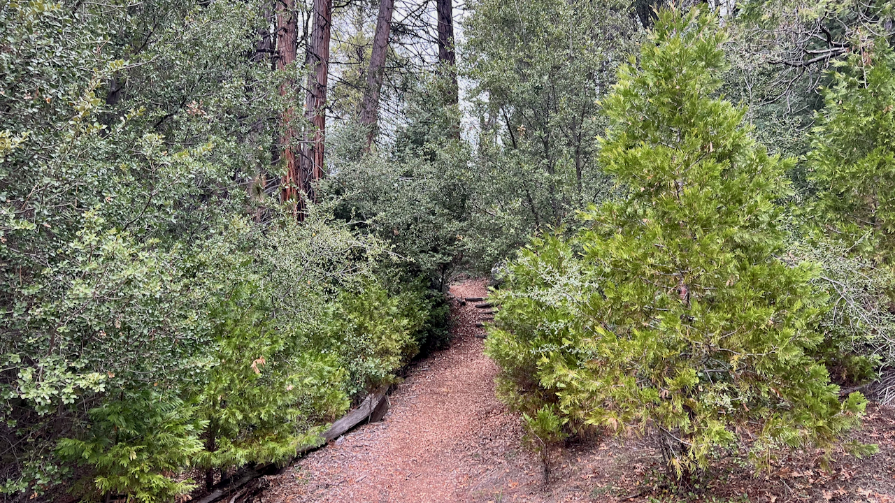 Trail View