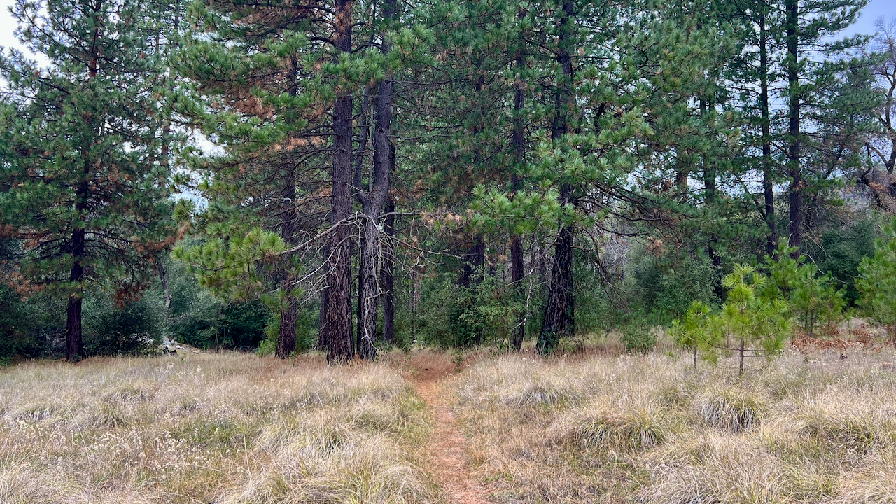 Trail View