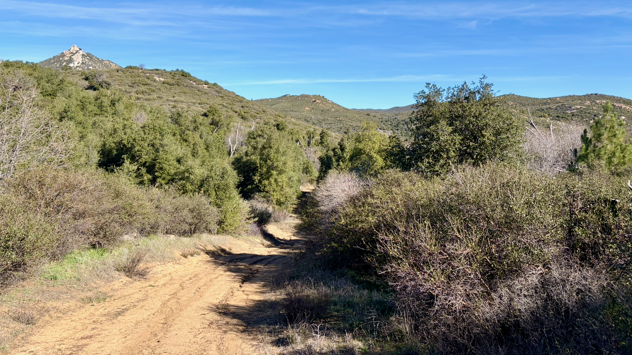 Trail View