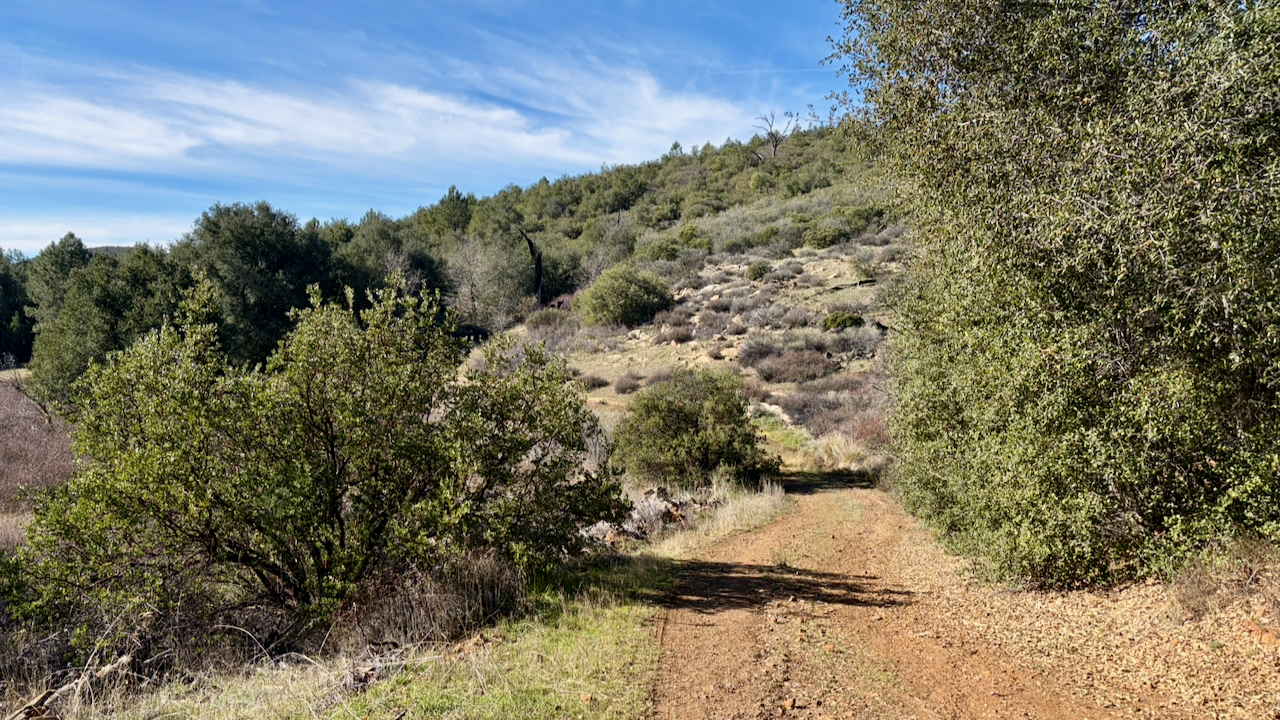 Trail View