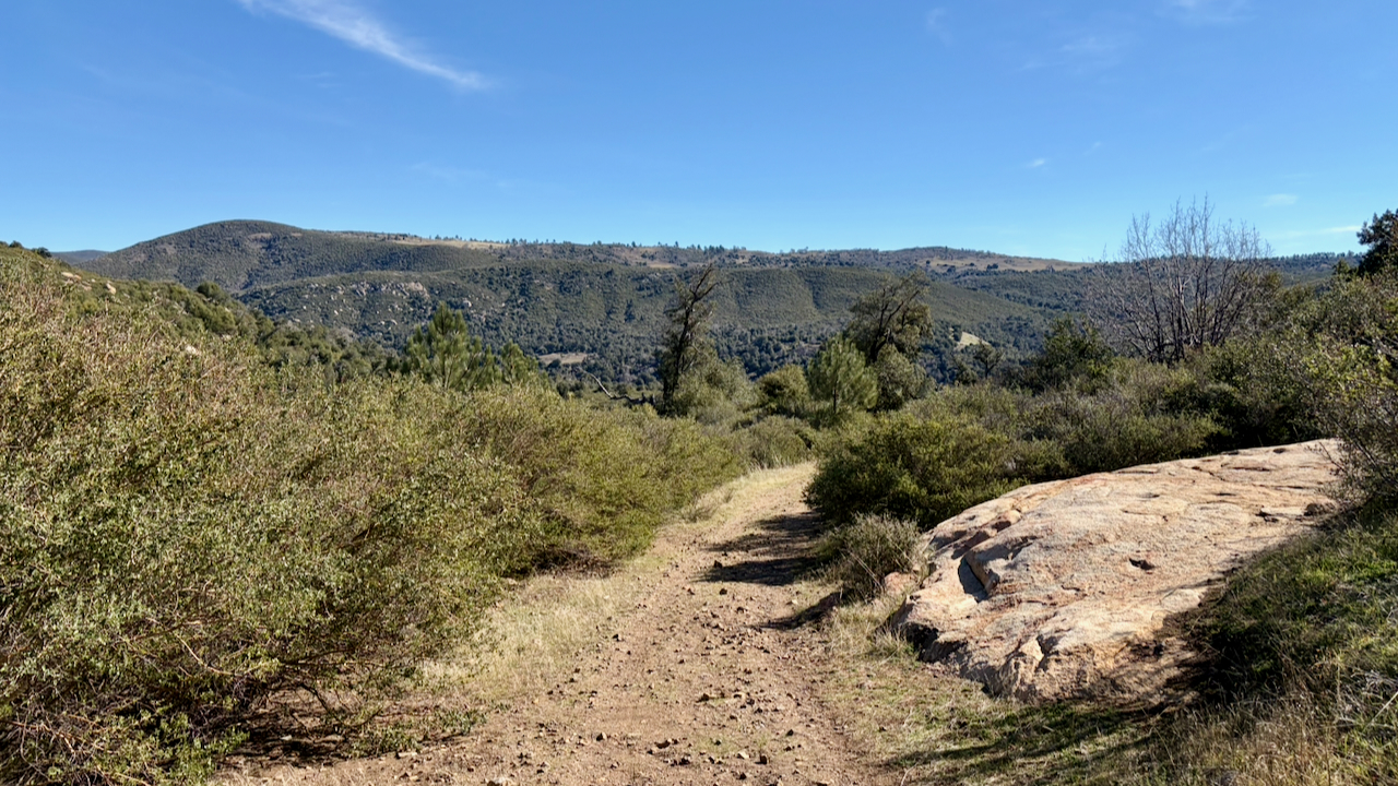 Trail View