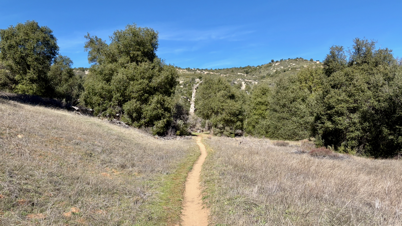 Trail View