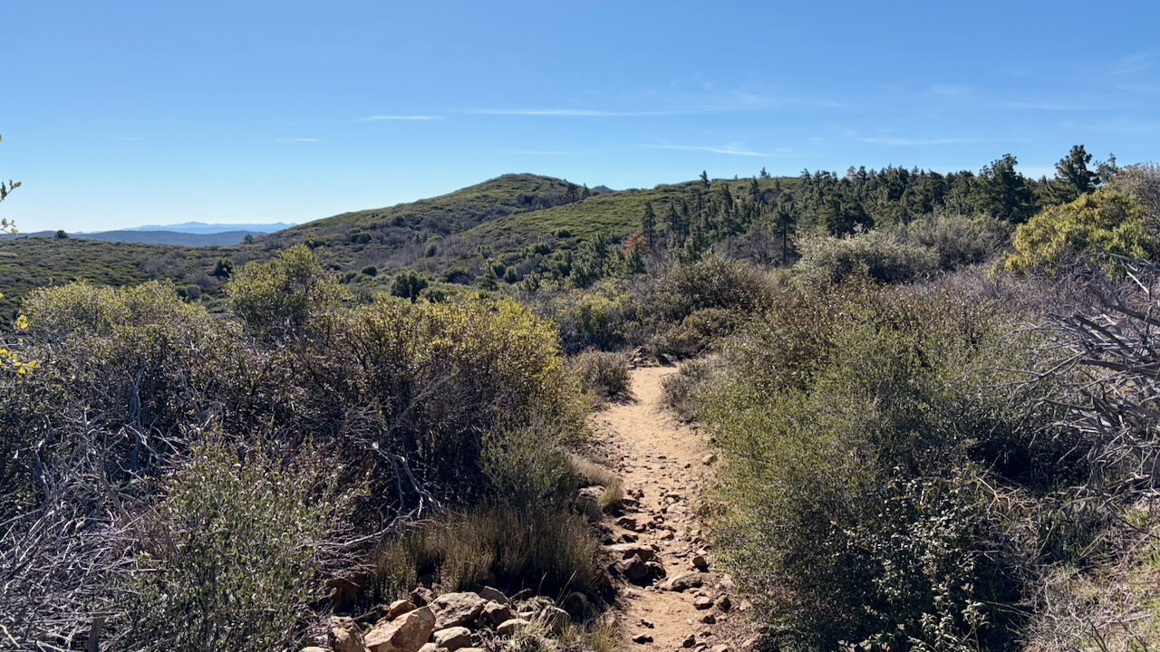 Trail View