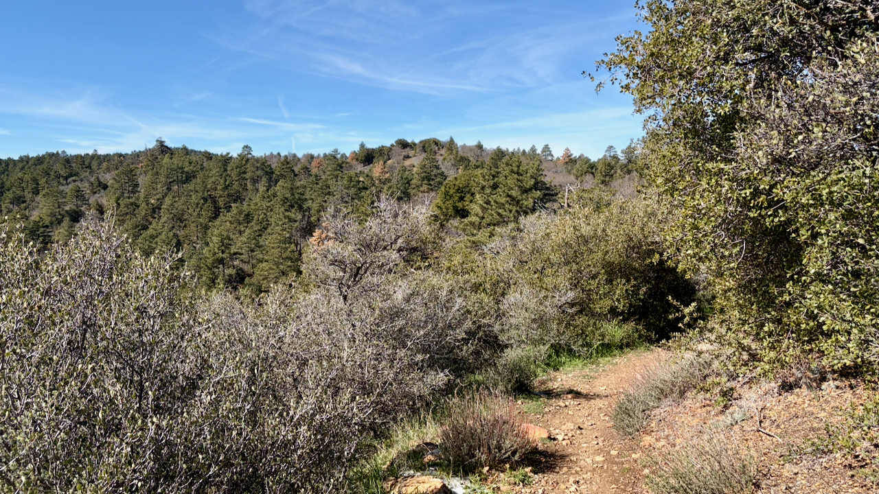 Trail View