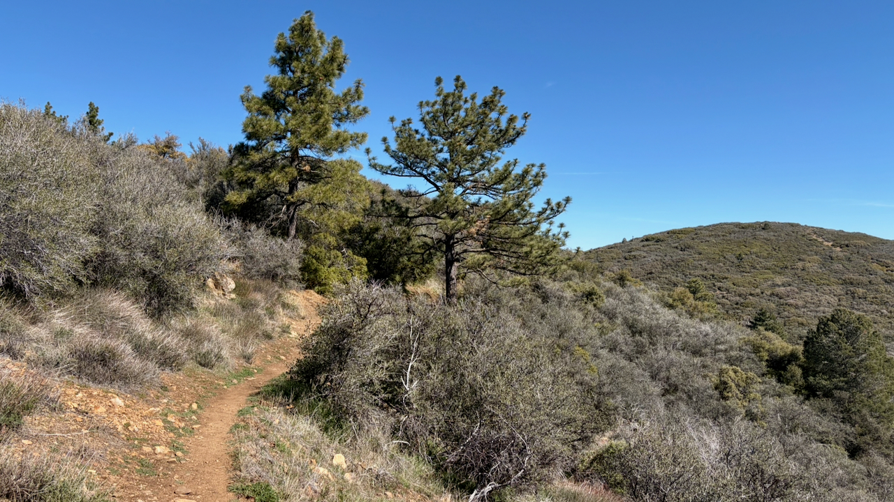 Trail View