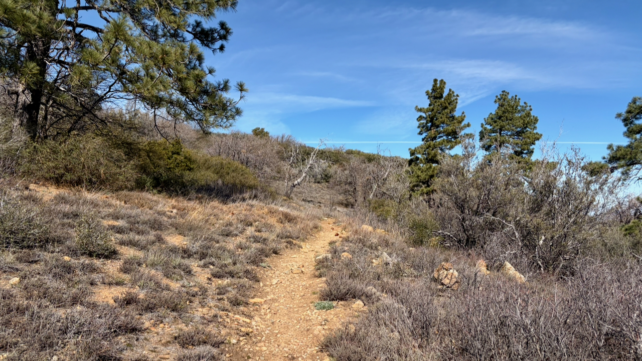 Trail View