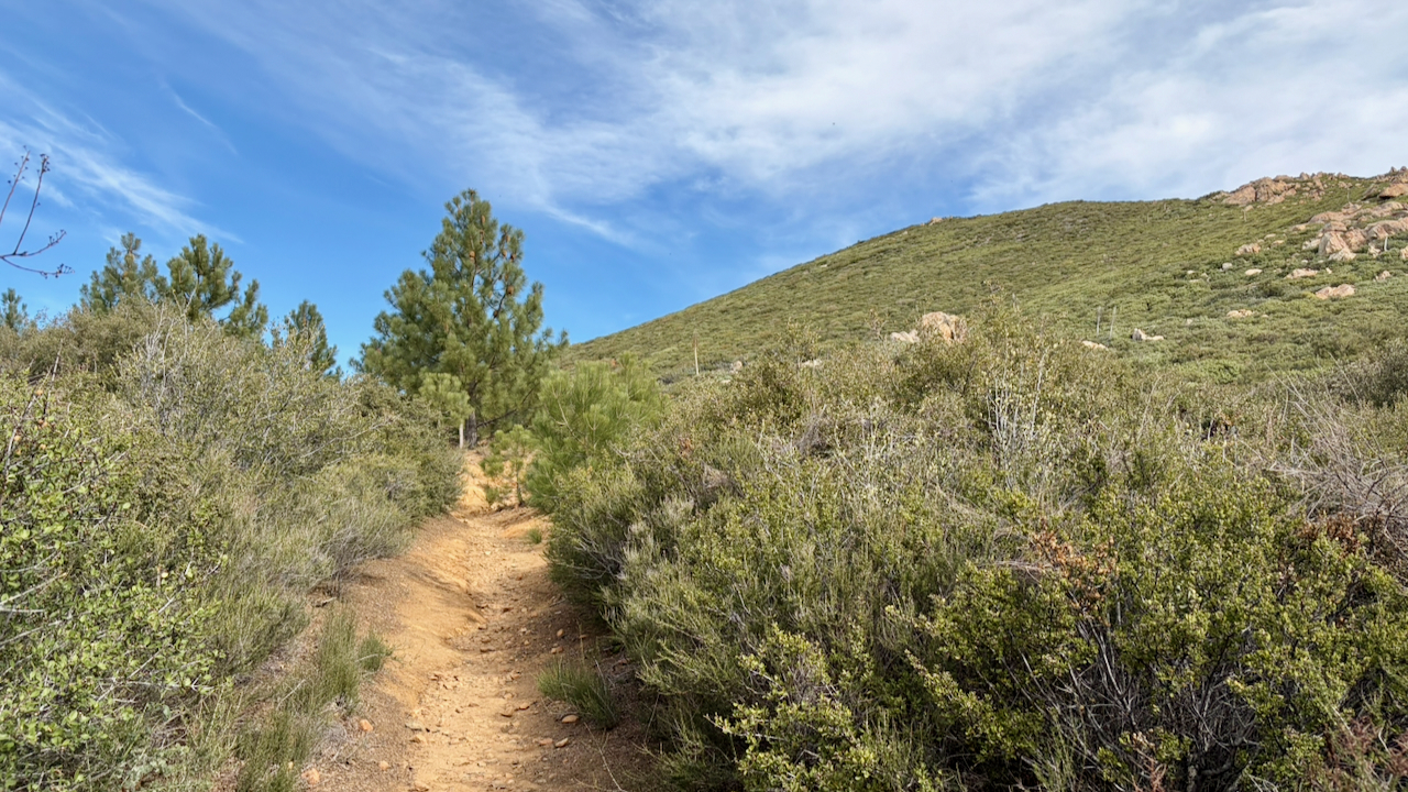 Trail View