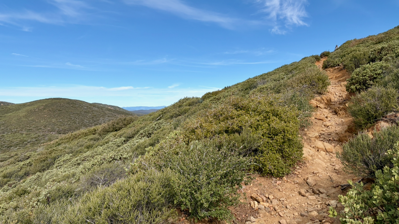 Trail View