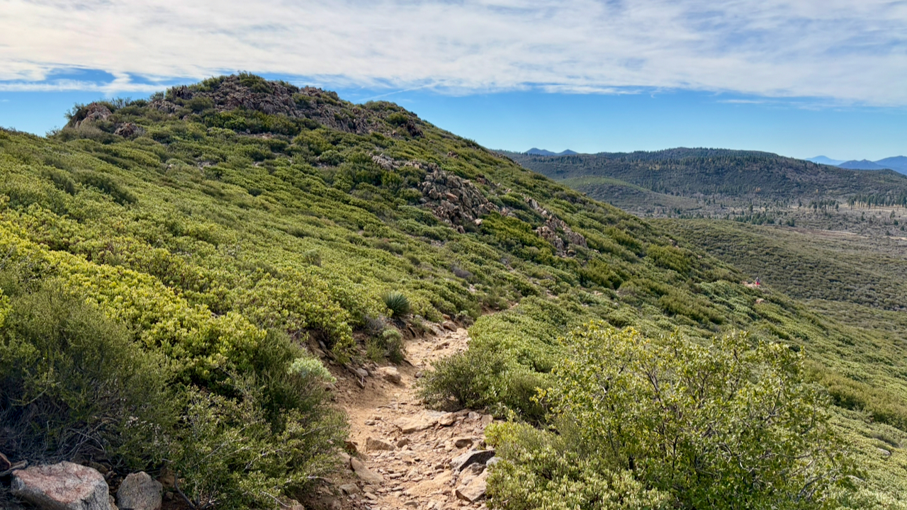 Trail View