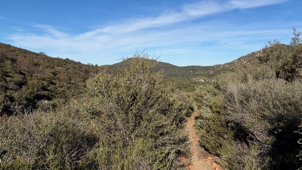 Trail View