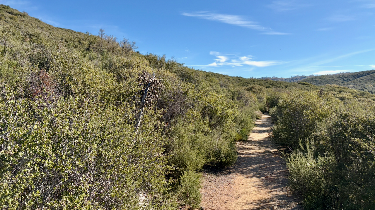 Trail View