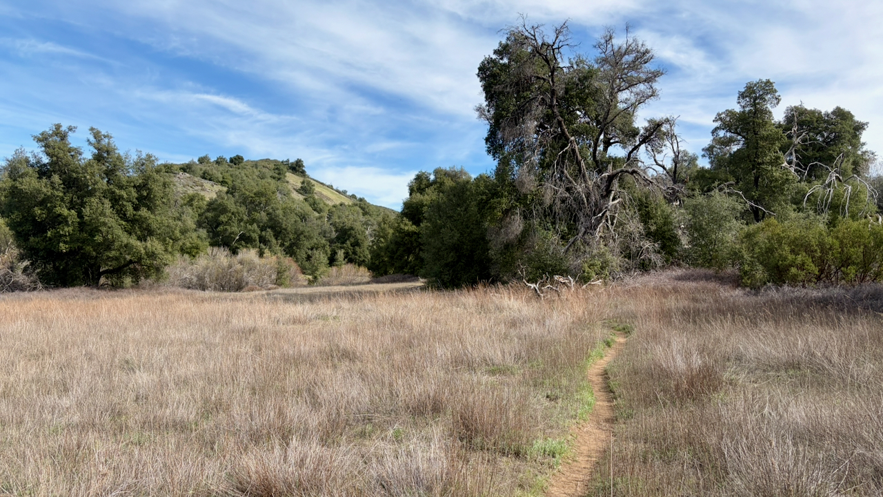 Trail View