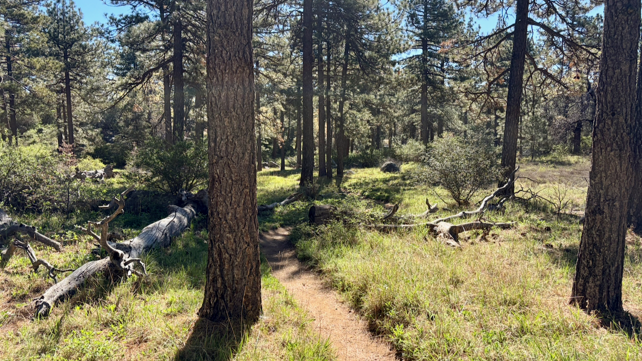 Trail View