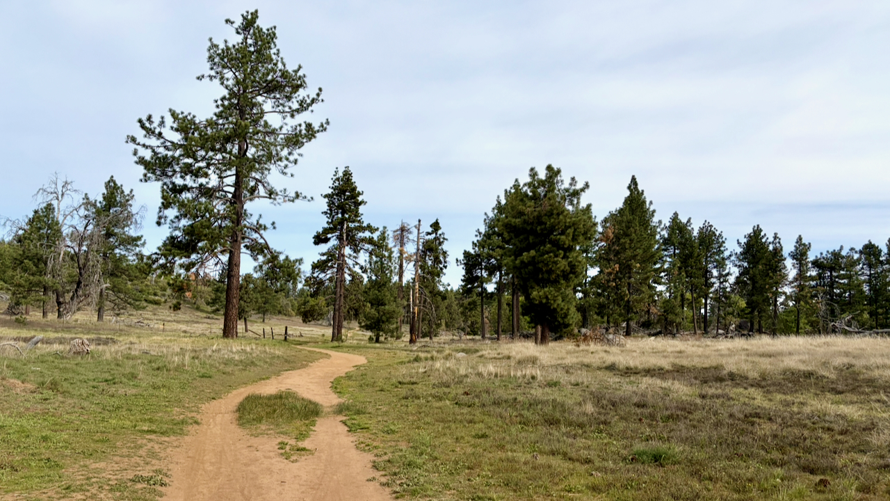 Trail View
