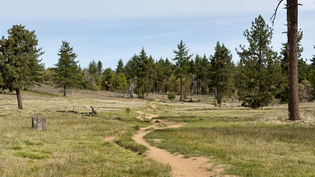 Trail View