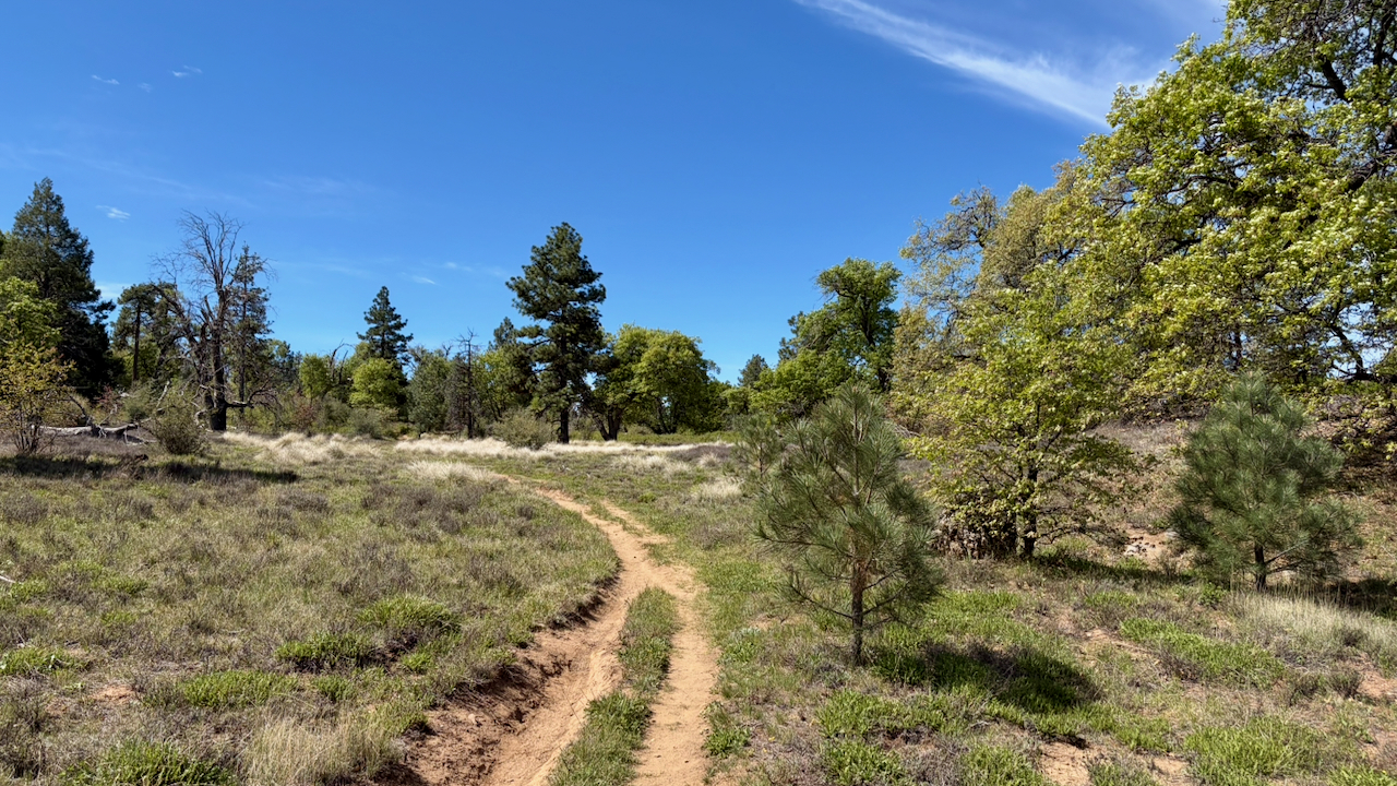 Trail View