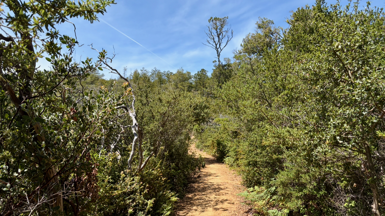 Trail View
