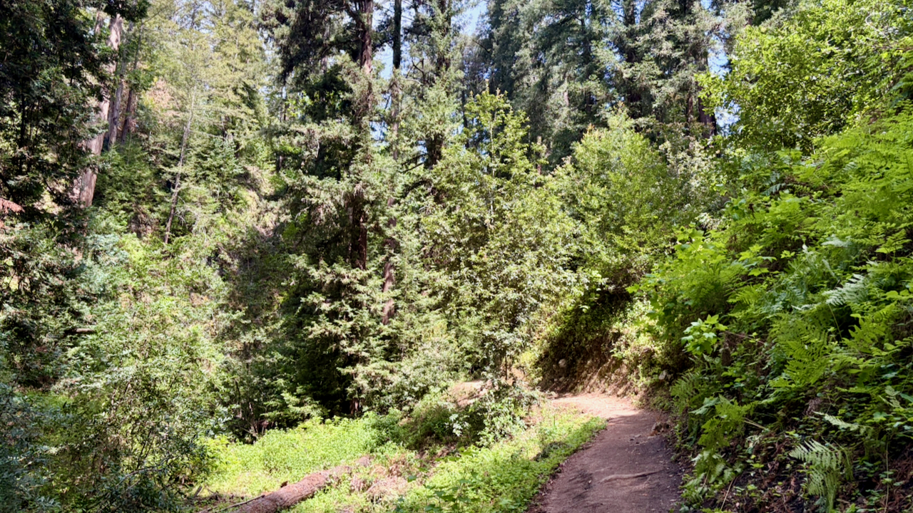 Trail View