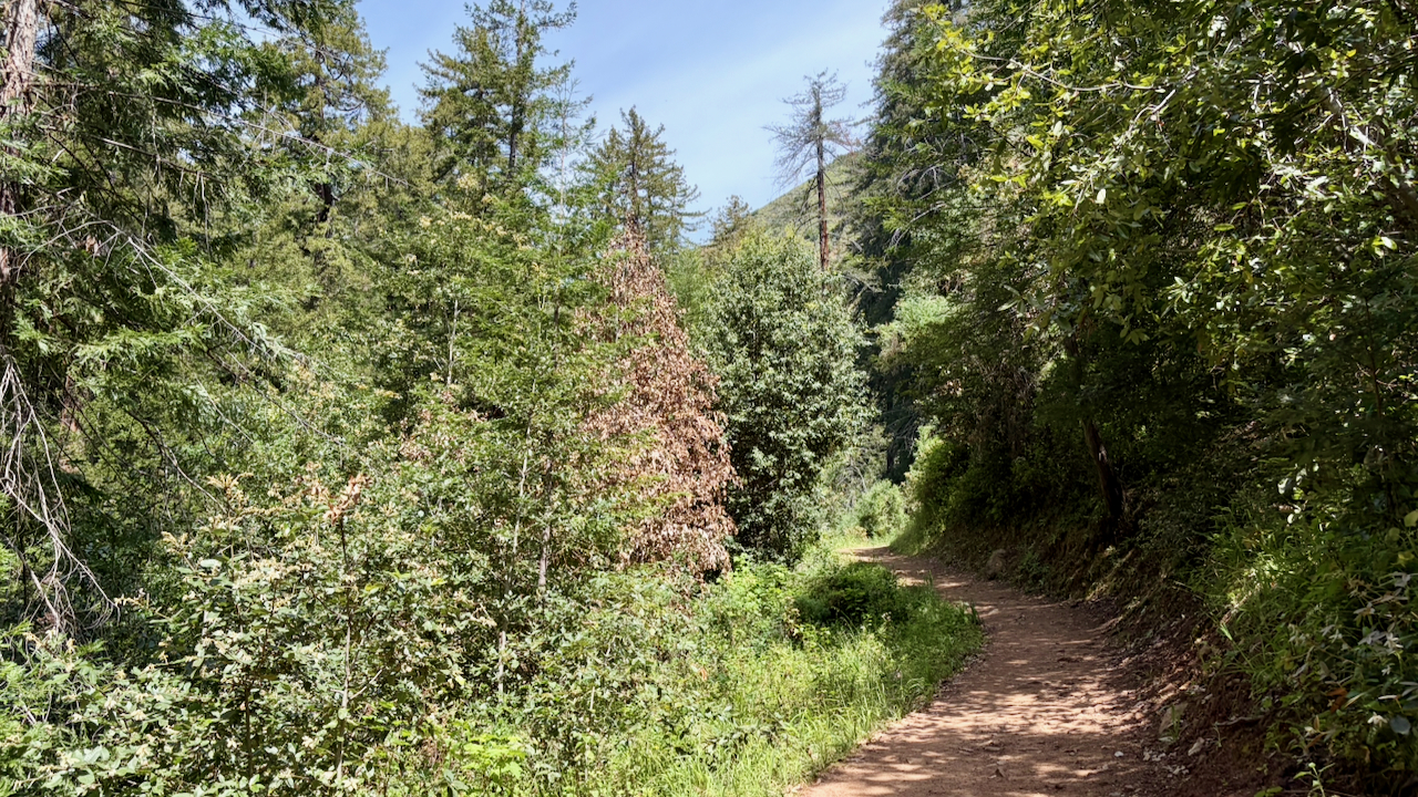 Trail View