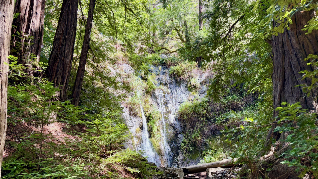Pfeiffer Falls