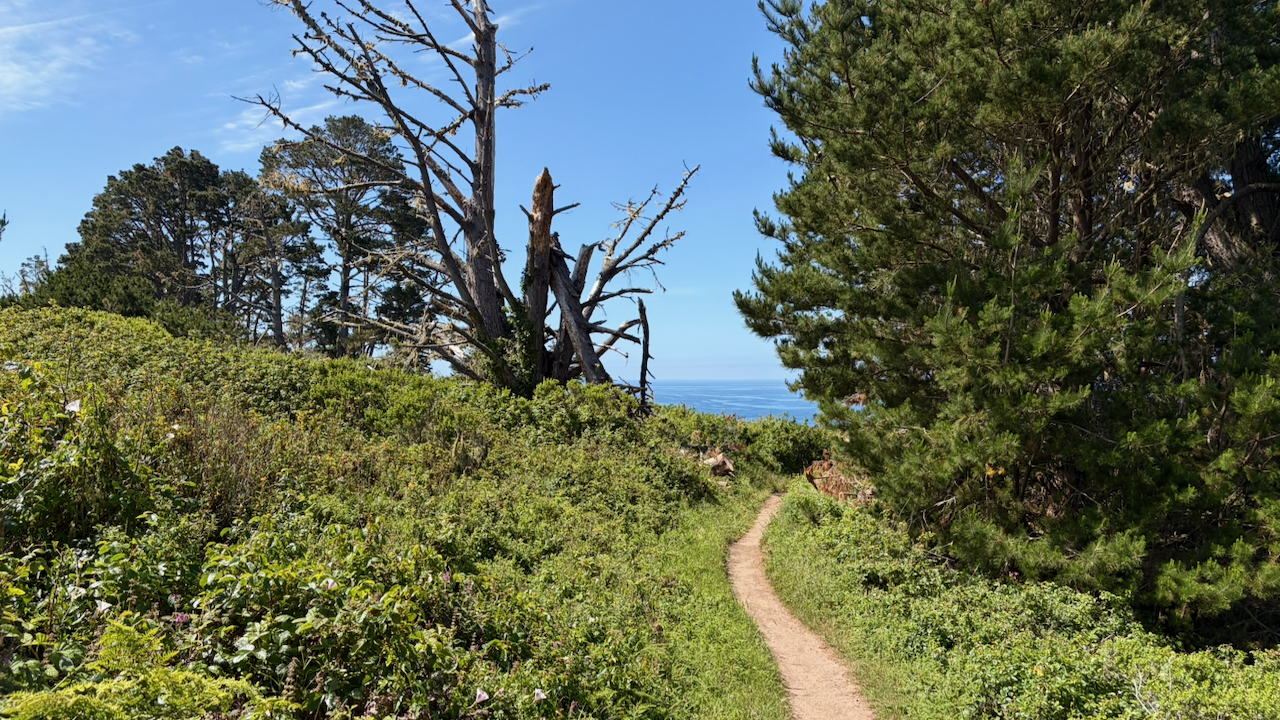 Trail View