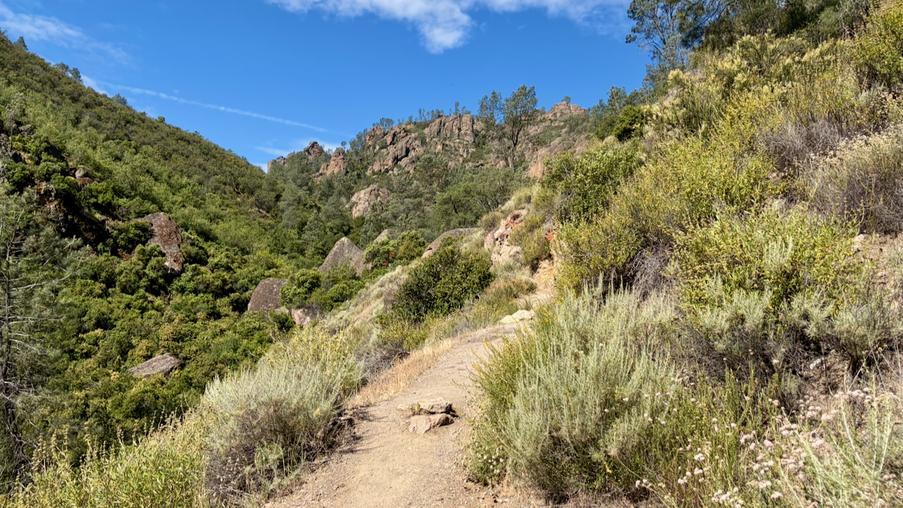 Trail View