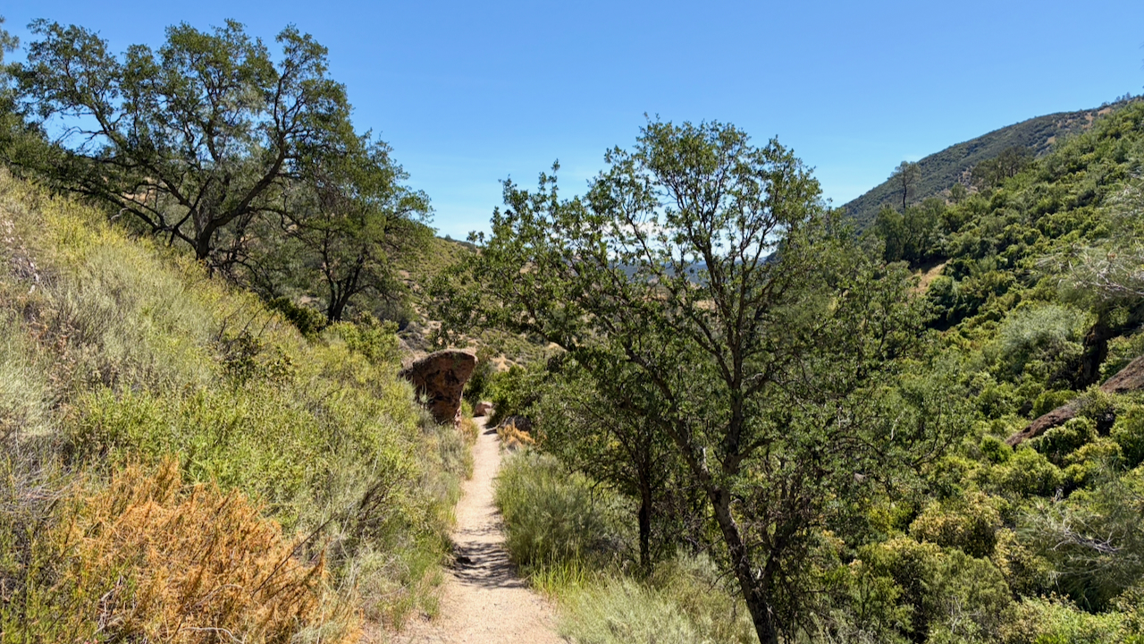 Trail View