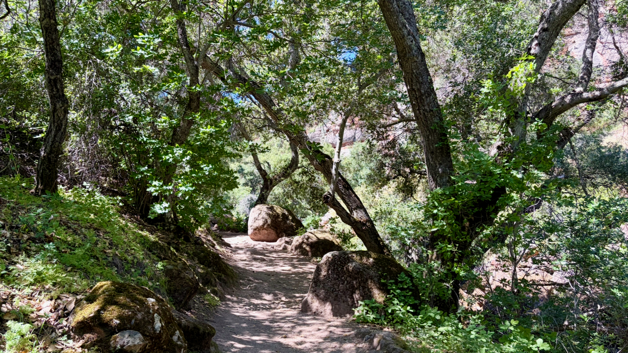 Trail View