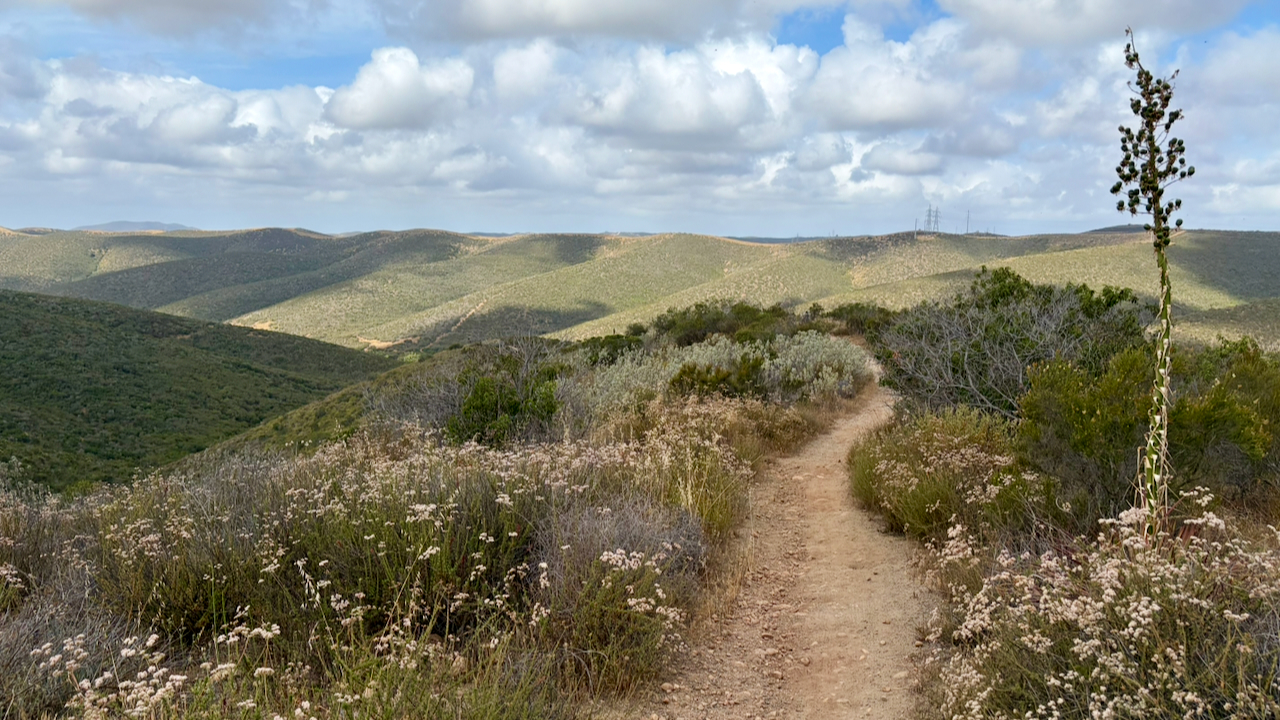 Trail View