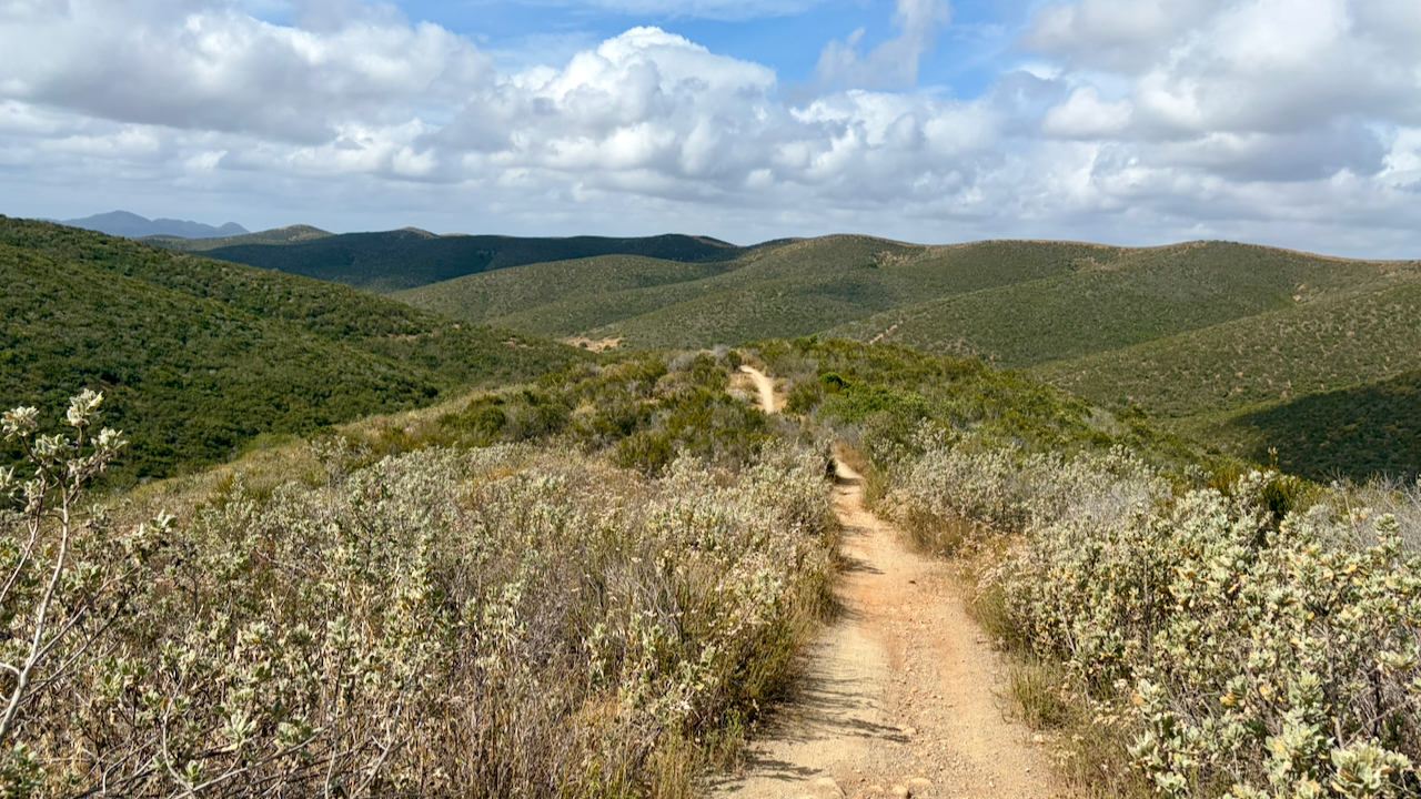 Trail View