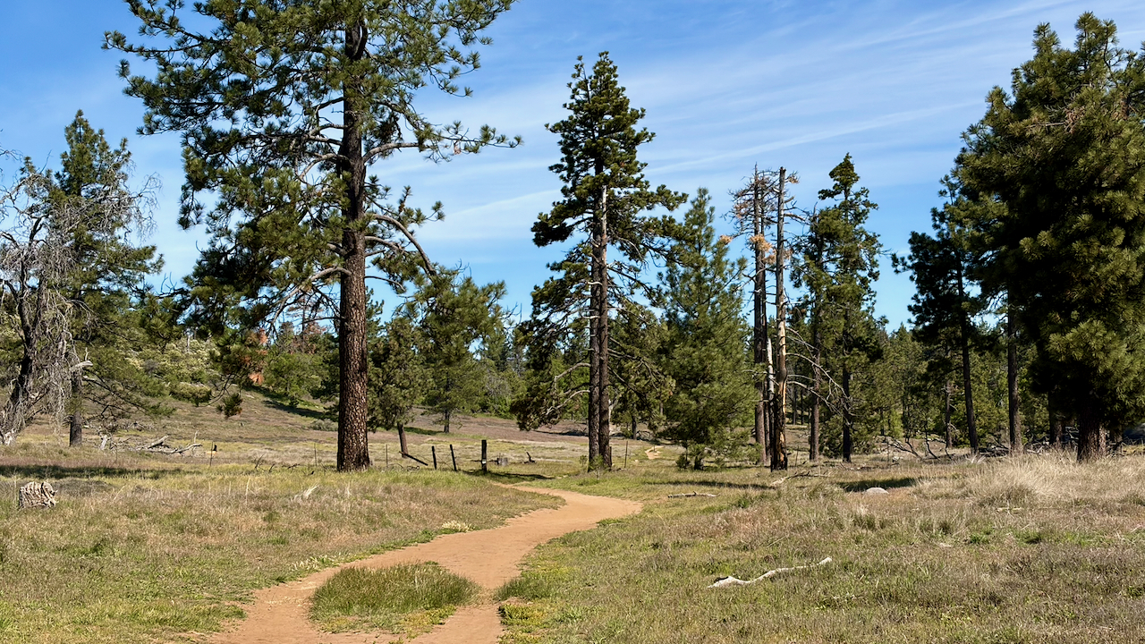 Trail View