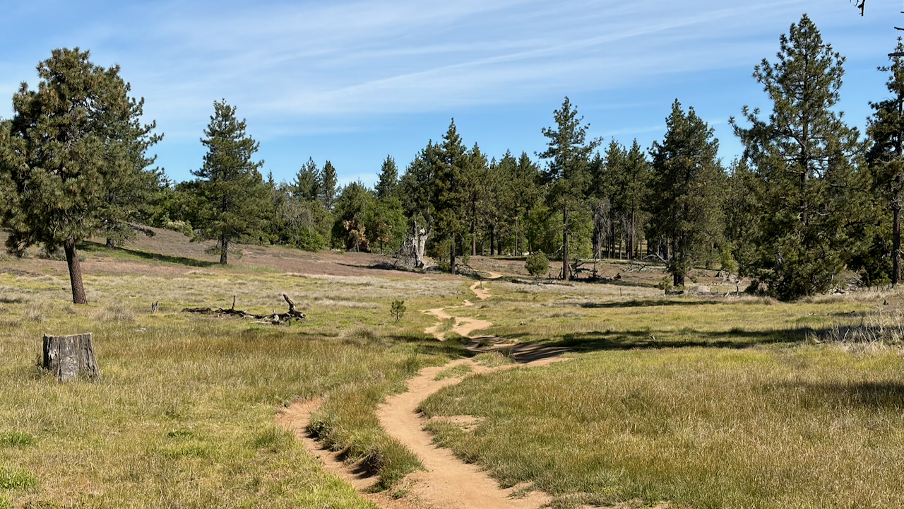 Trail View