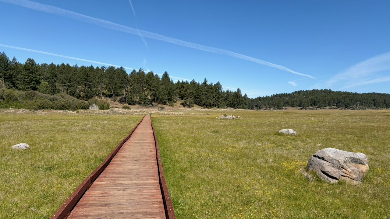 Trail View