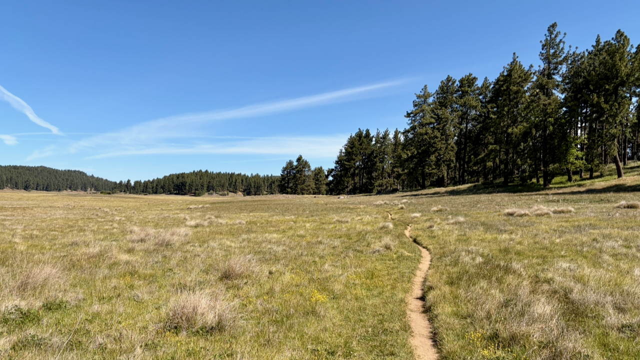 Trail View