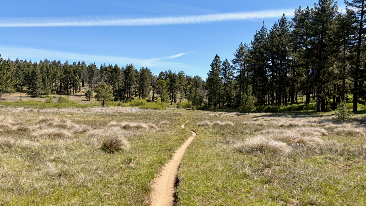 Trail View